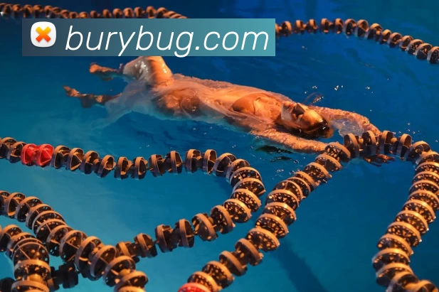 开云手机站官方版网站登录入口 - 开云(中国)APP 封面图