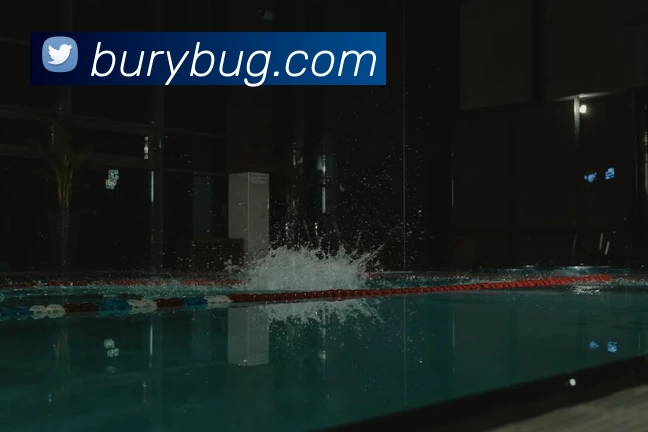 数据防护可视化